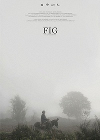 fig poster2